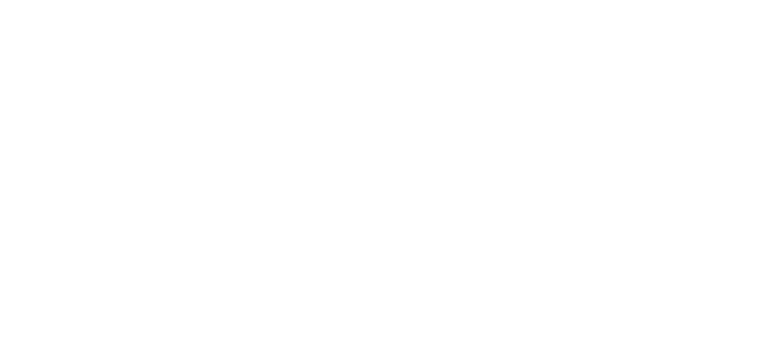 WIDLIFT - podnosimy standardy